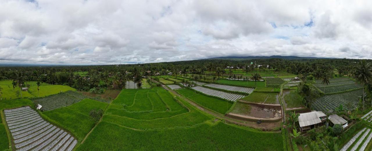 Green Haven Homestay Tetebatu Szoba fotó